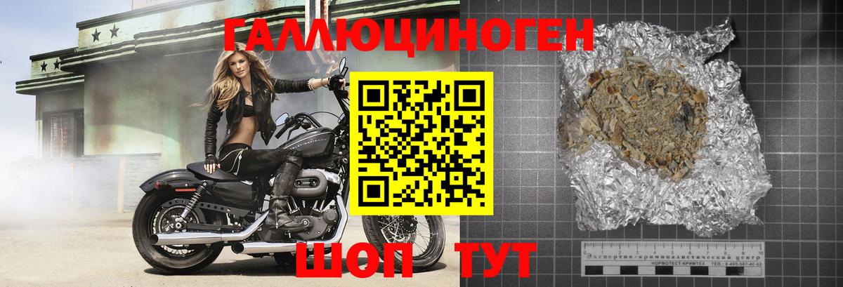 Галлюциногенные грибы Psilocybe  сколько стоит  Вход с VPN  Великий Устюг  Галлюциногенные грибы Cubensis 